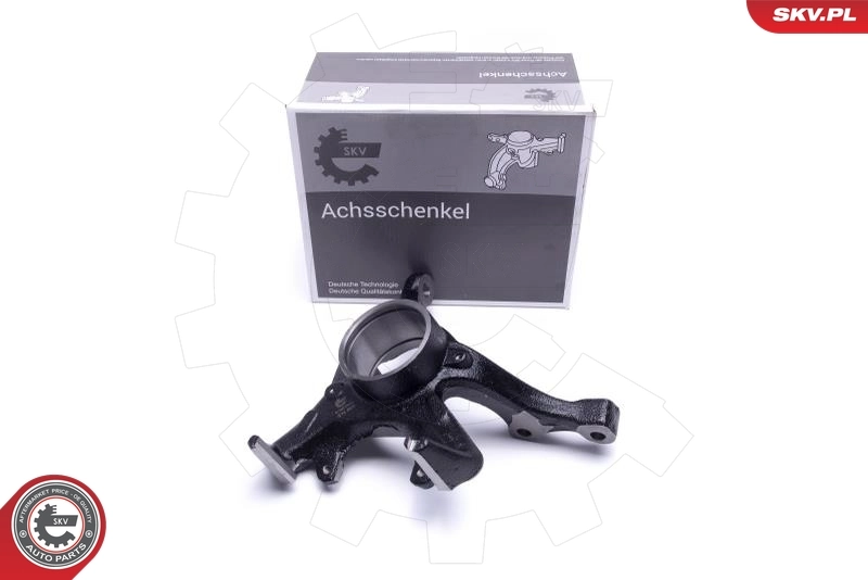 Steering Knuckle, wheel suspension